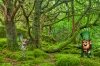 Ireland and its Fairytales