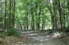 Beautiful Park