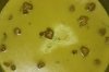Vegetarian Recipe of Kadhi