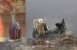 Yamuna River and Shivling