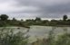 Flood