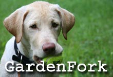 Brought to you by GardenFork.TV Cooking, DIY, & more