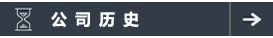 公司历史 公司历史