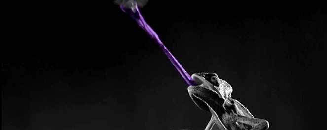 Scottrader Streaming Quotes