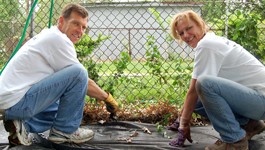 Scottrade Associates making a difference