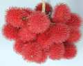 Exotic fruits