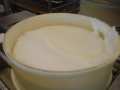 Bottom plates for cheese production