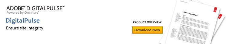 DigitalPulse Product Overview - Ensure Site Integrity