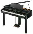 Digital Pianos
