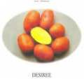 Seeds