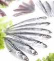 Peixe congelado