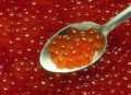 Caviar