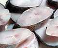 Peixe congelado