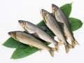 Peixe