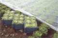 Materiales geotextiles