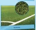 Coatings for sports grounds