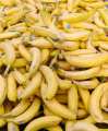 Bananas cavendish