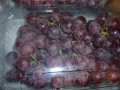 Frutos