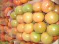 Tomate, os tomates frescos