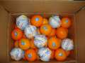 Πορτοκάλια