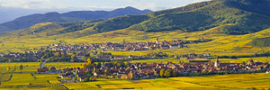 La route des vins d’Alsace