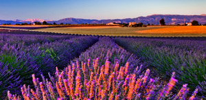 Provence