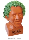 maxgull's Avatar