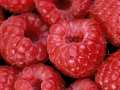 Framboises 