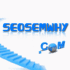 seosemwhy
