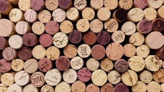 Investir dans le vin : les conseils à adopter