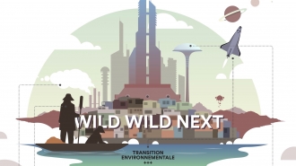 Scénario tendanciel 2 : Wild wild next