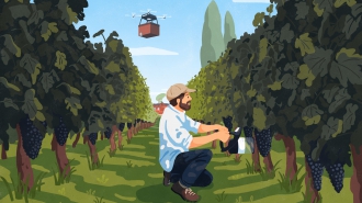Dans quel(s) secteur(s) investir… dans 200 ans ?