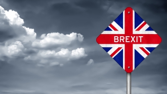 Focus Brexit : quels scenarii envisageables ?