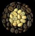 Café não maduro