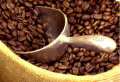 Café em grão