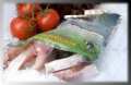 Peixe congelado