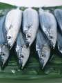 Peixe
