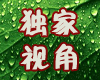 独家视角