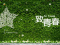 “致青春”消费高涨