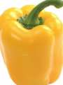 Pimenta fresca