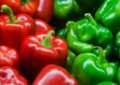 Pimenta fresca