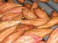 Batata