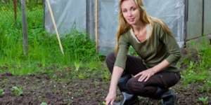 Дачные выходные: рай или каторга