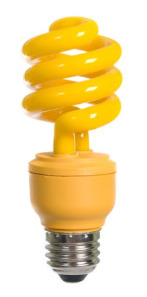 Picture of energy saving lightbulb