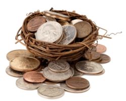 picture of coins in nest