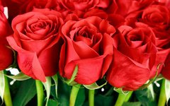 Скидка 20% на покупку магазина Любимым бай / lyubimym.by.