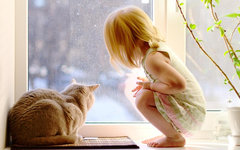 Скидка до 20% на окна ПВХ.