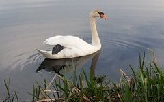 Высокая гора - Усадьба