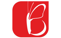 Мольнар - Агентство недвижимости