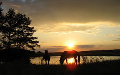 Двор Старинки - Конно-туристический центр